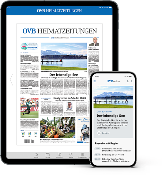 Tablet und Smartphone mit E-Paper